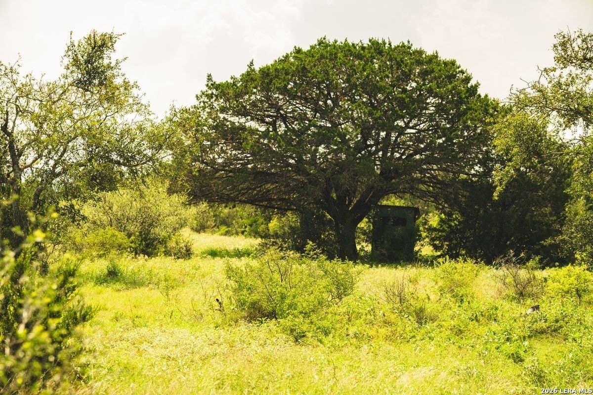 191 acres in Uvalde County - photo 30