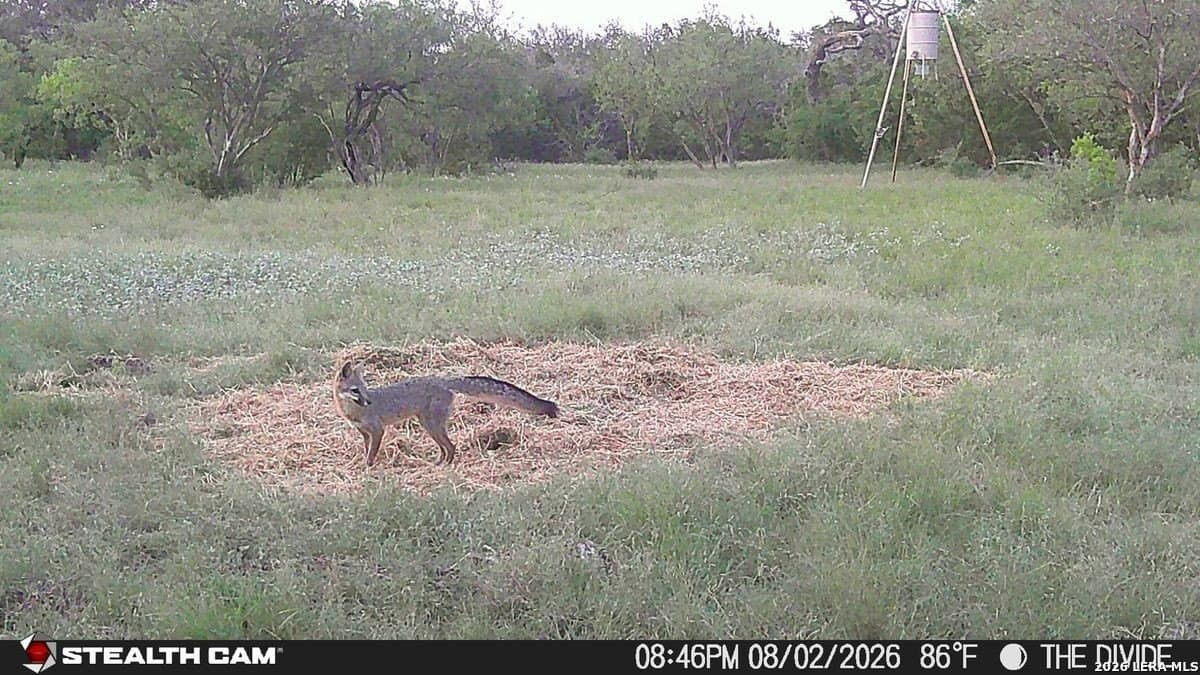191 acres in Uvalde County - photo 10