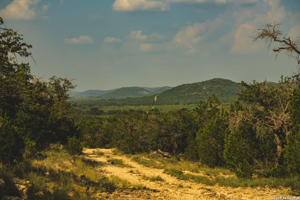 191 acres in Uvalde County - photo 21