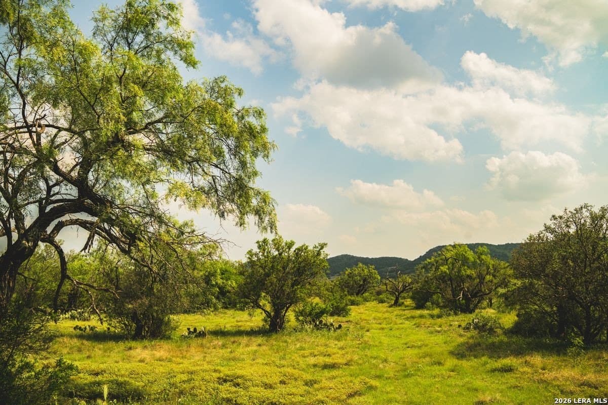 191 acres in Uvalde County - photo 26