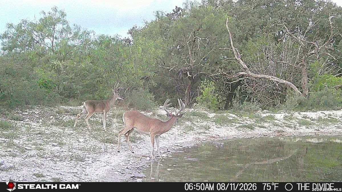 191 acres in Uvalde County - photo 15