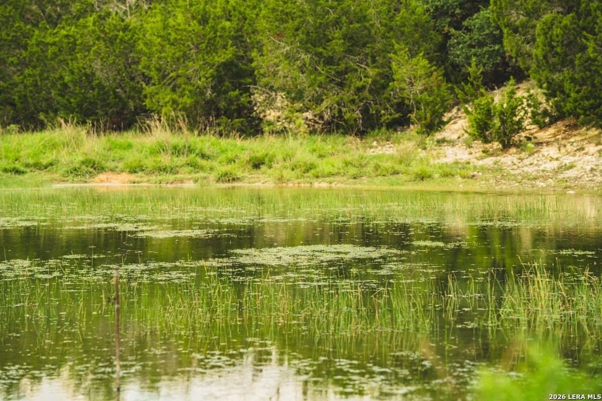 191 acres in Uvalde County - photo 35
