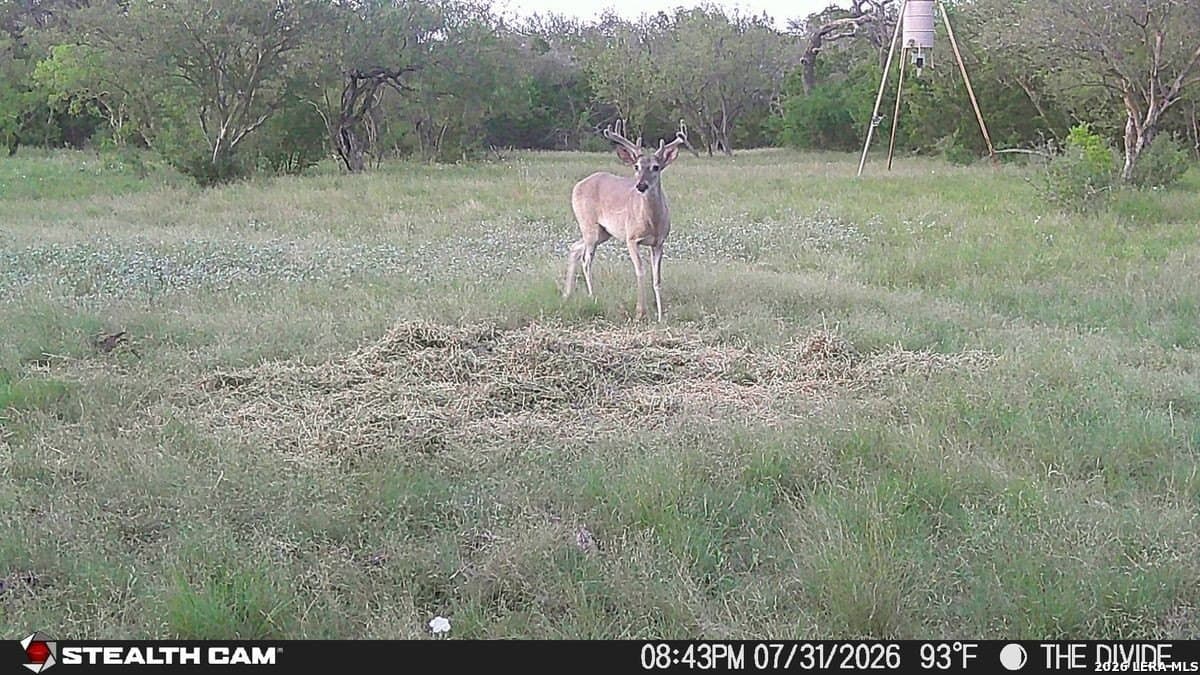 191 acres in Uvalde County - photo 13