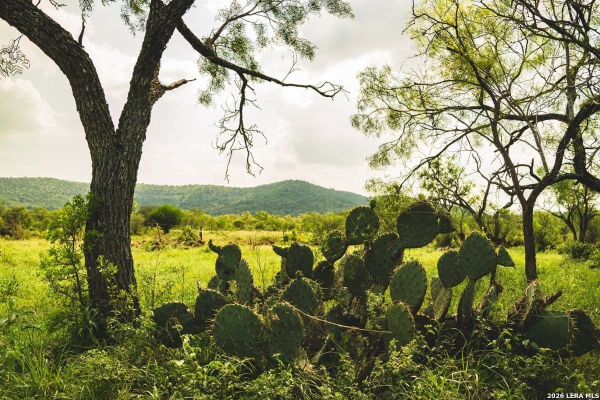 191 acres in Uvalde County - photo 27