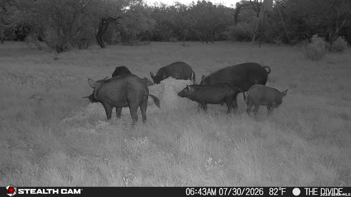 191 acres in Uvalde County - photo 11