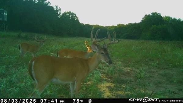 40.32 acres in Henderson County gallery image 2