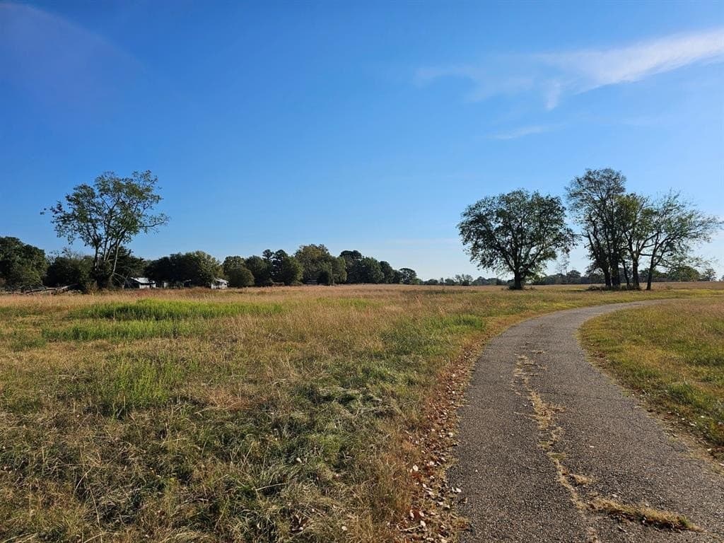 33.93 acres in Titus County featured view
