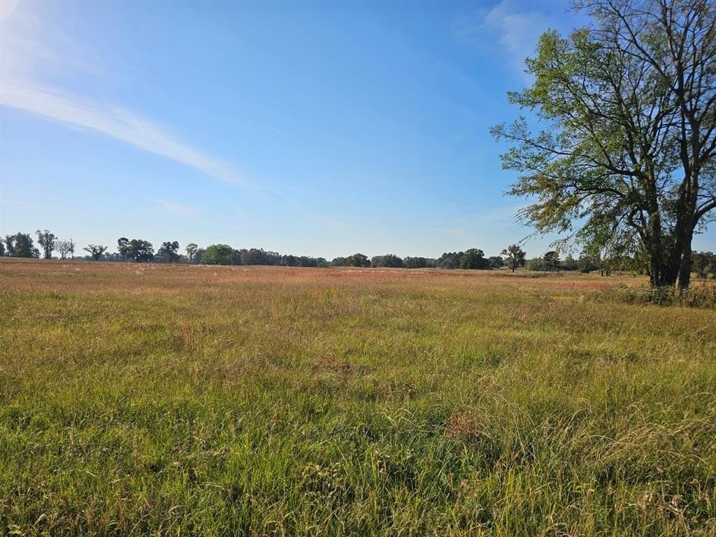 33.93 acres in Titus County