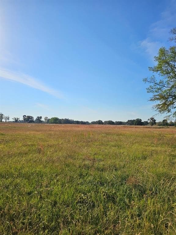33.93 acres in Titus County gallery image 2