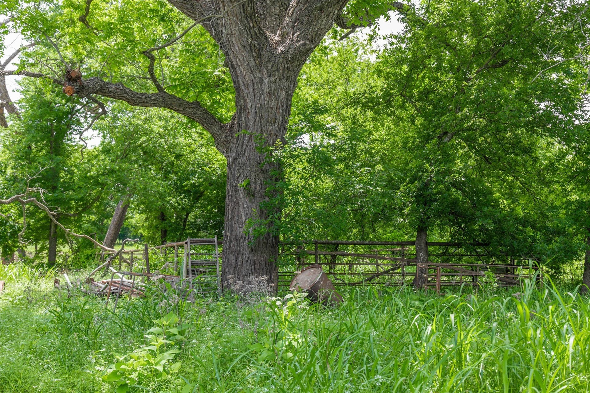 9 acres in San Saba County - photo 22