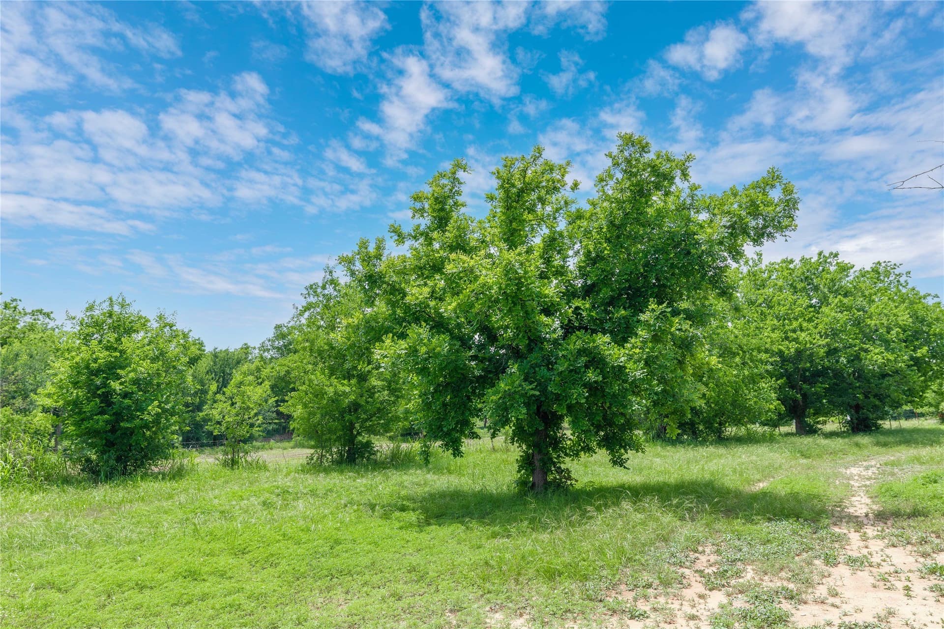 9 acres in San Saba County - photo 25