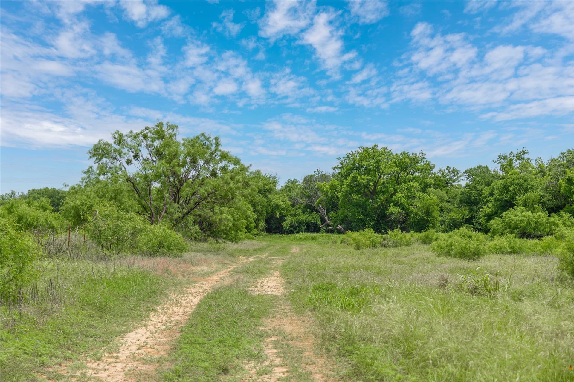 9 acres in San Saba County - photo 19