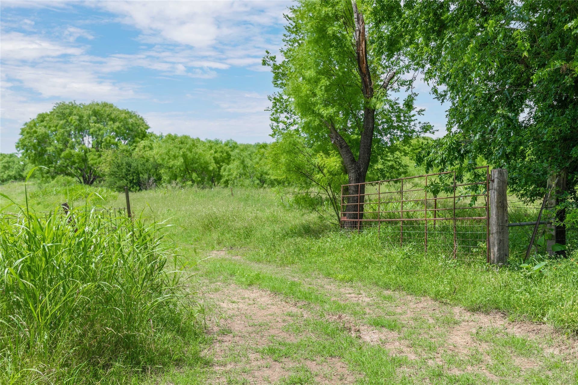 9 acres in San Saba County - photo 24