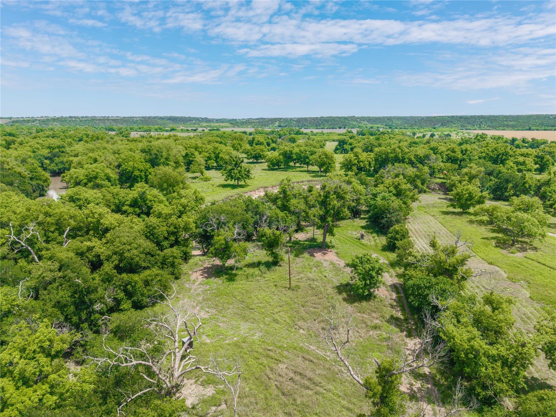 9 acres in San Saba County - photo 10
