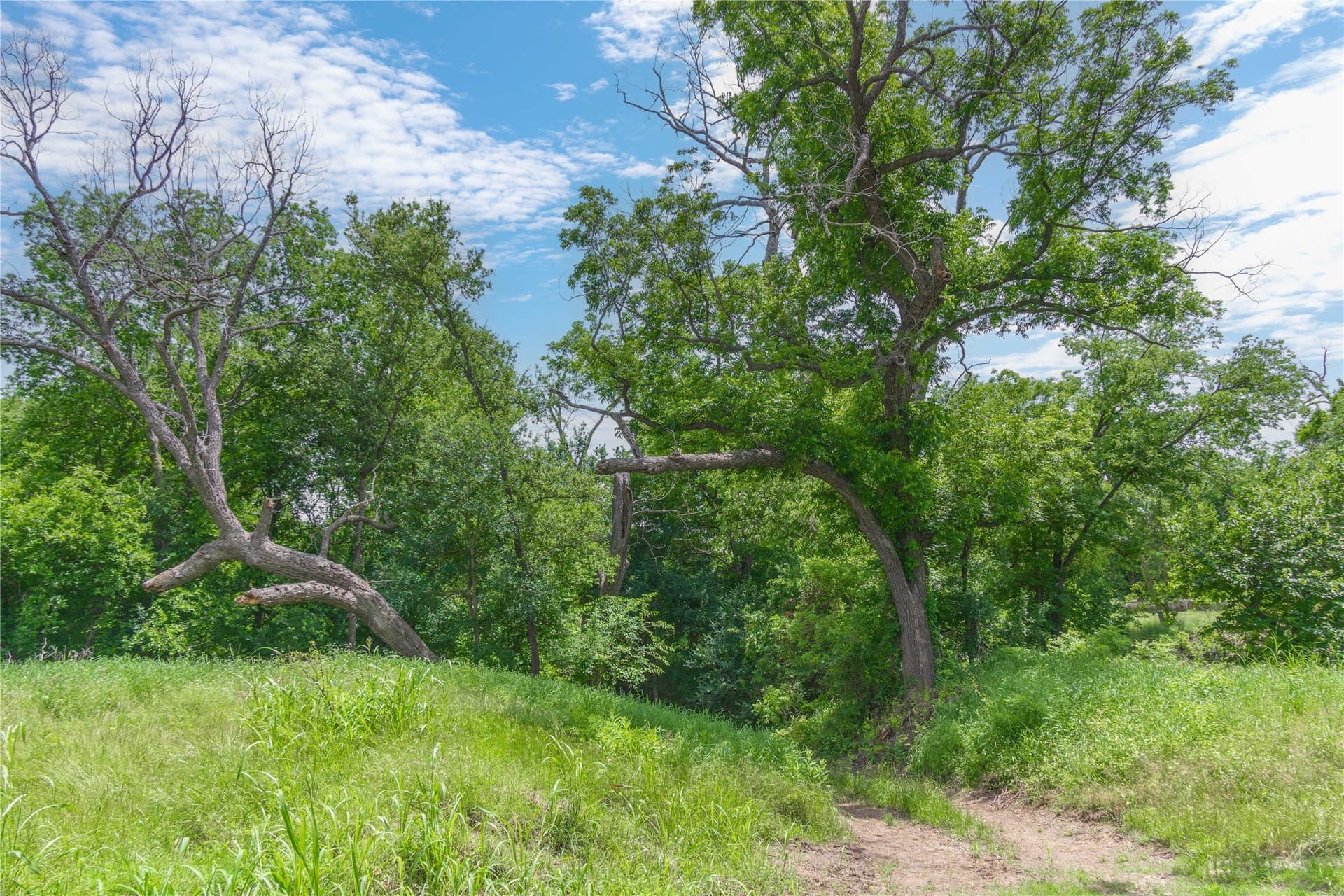 9 acres in San Saba County - photo 20