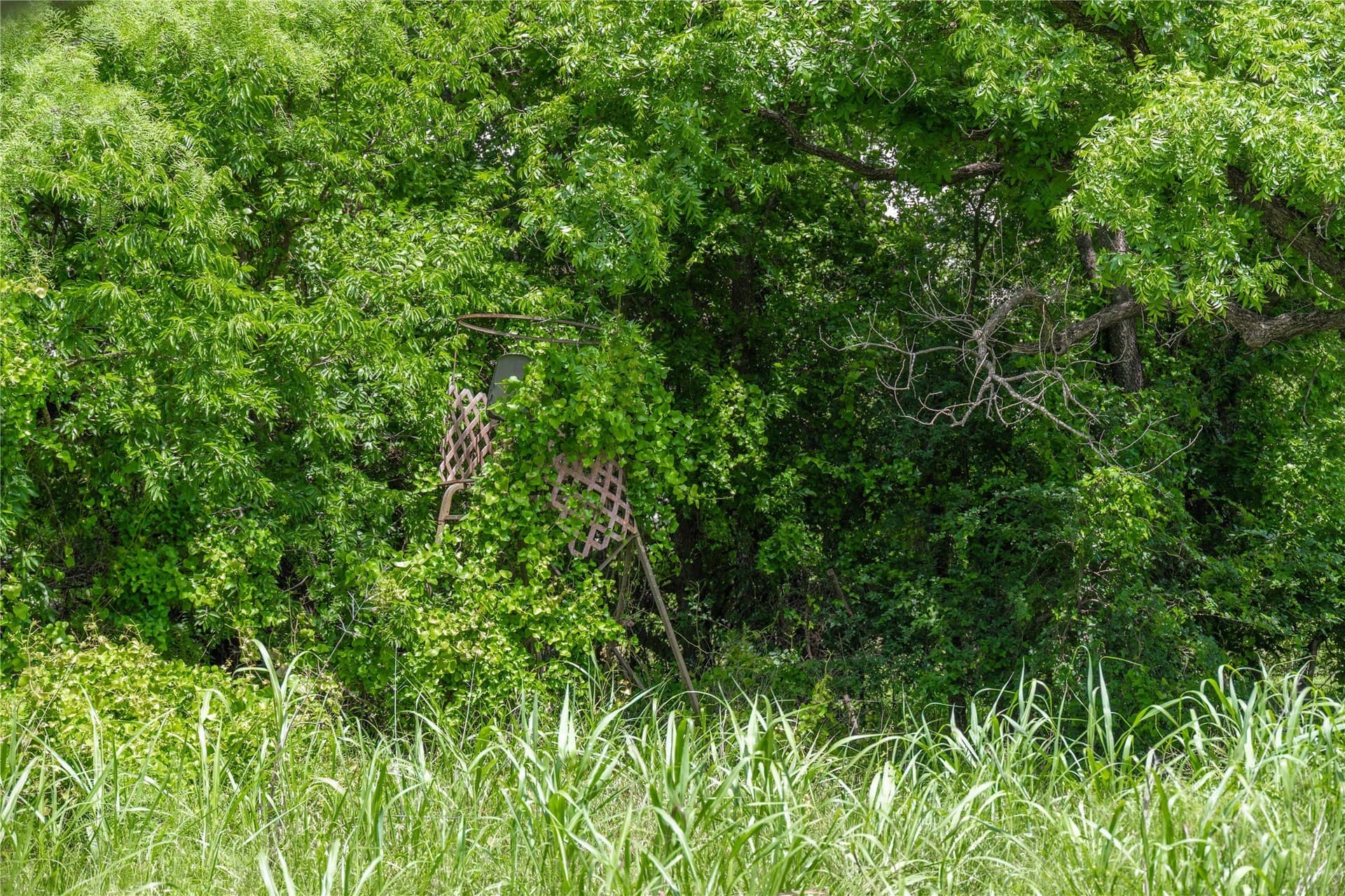 9 acres in San Saba County - photo 23