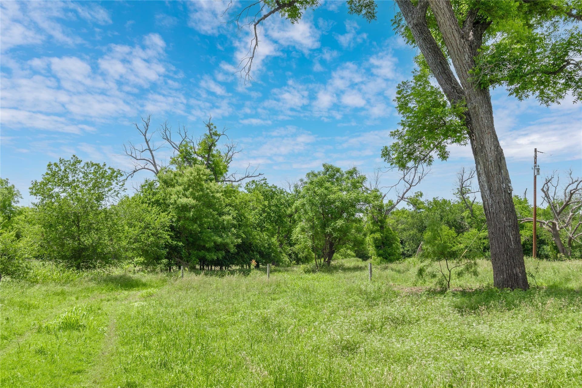 9 acres in San Saba County - photo 30