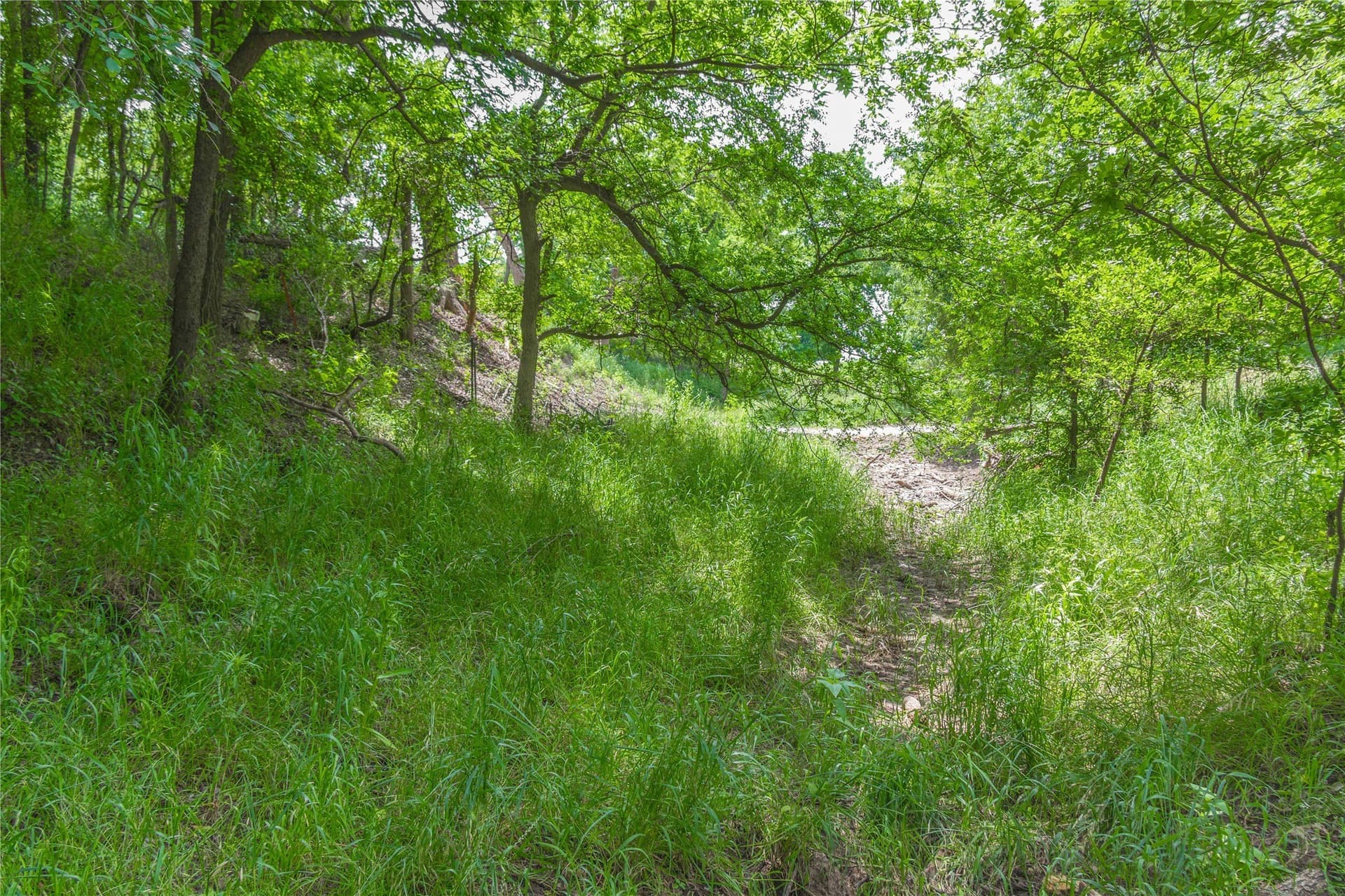 9 acres in San Saba County - photo 21