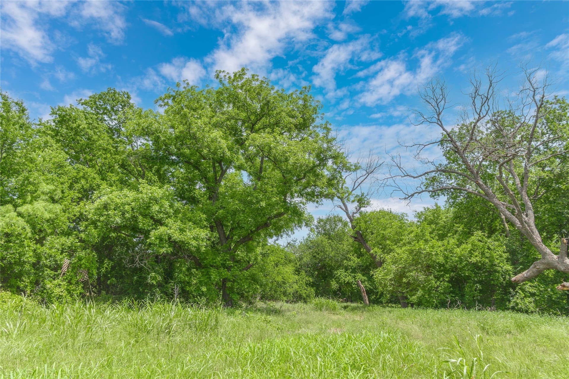 9 acres in San Saba County - photo 39