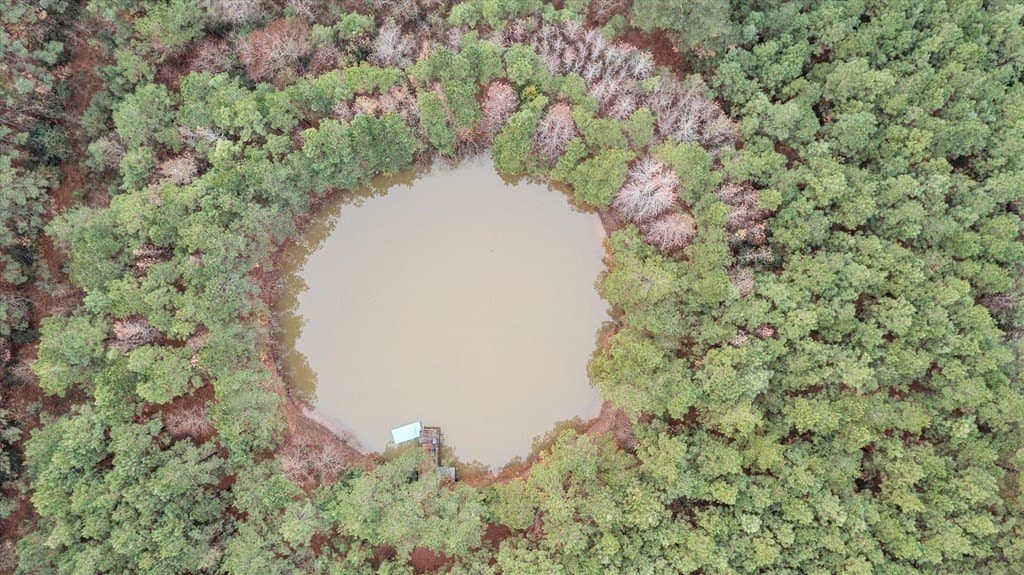 10.11 acres in Texas County gallery image 3