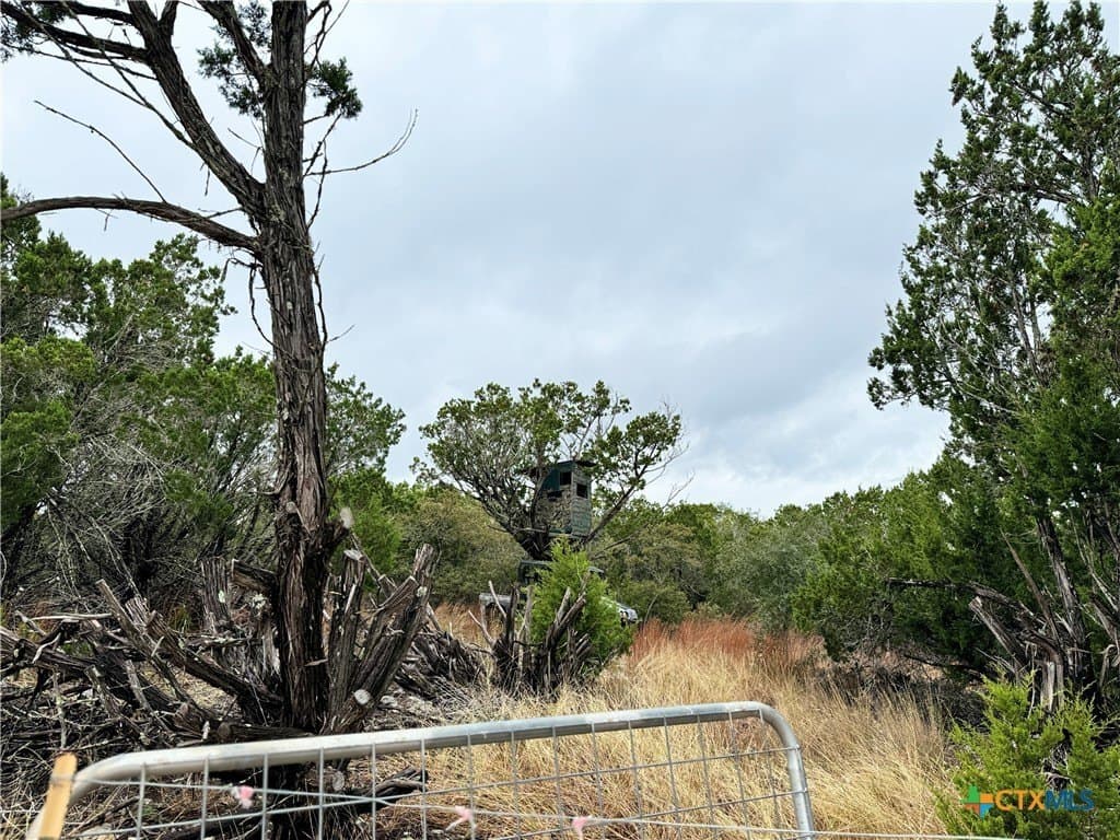 100 acres in Kerr County gallery image 4