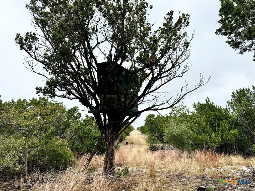 100 acres in Kerr County gallery image 3