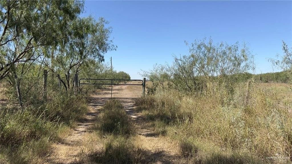 9.71 acres in Hidalgo County gallery image 3