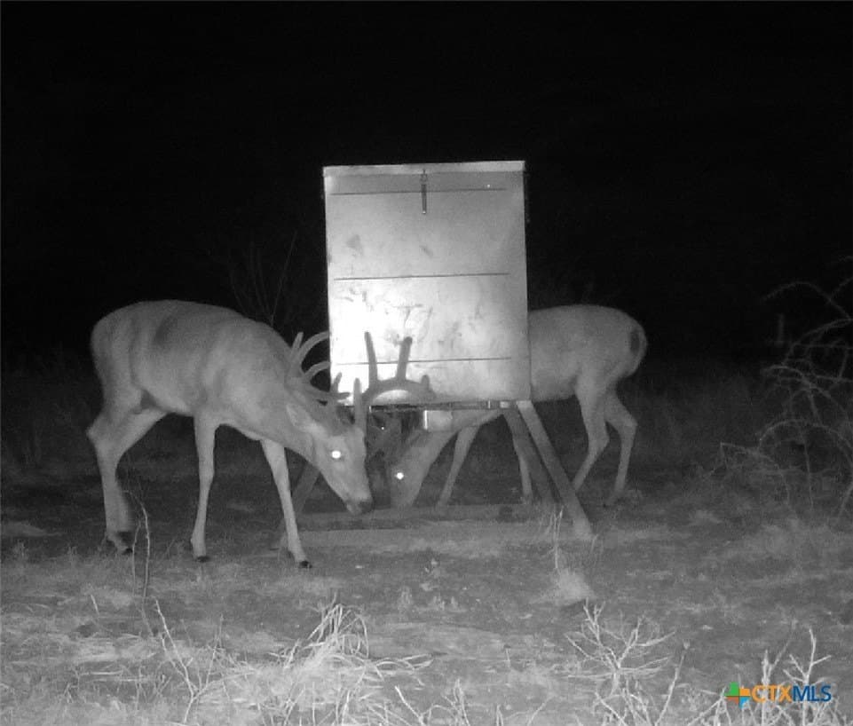 511.51 acres in Refugio County - photo 30
