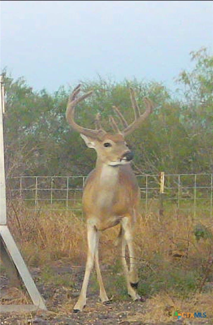 511.51 acres in Refugio County - photo 24