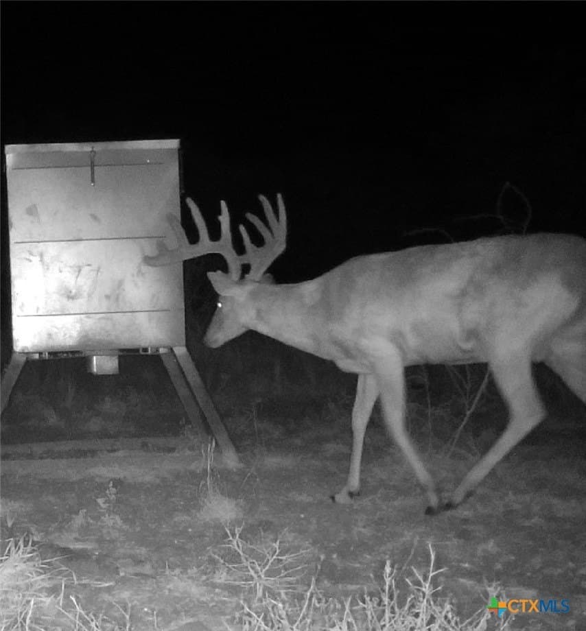 511.51 acres in Refugio County - photo 3