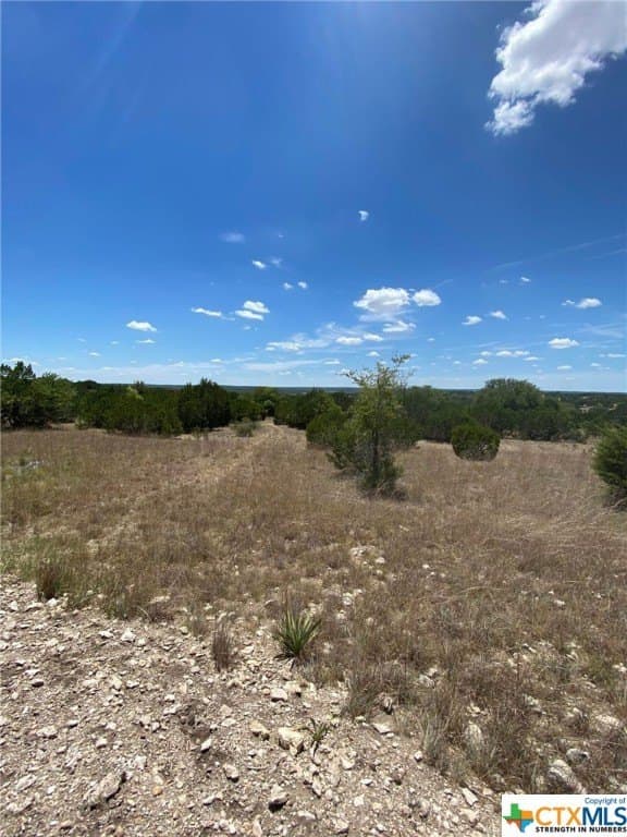 8.71 acres in Burnet County gallery image 3