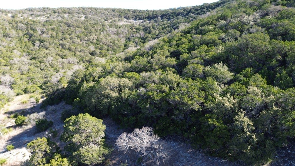 16.76 acres in Bandera County gallery image 3