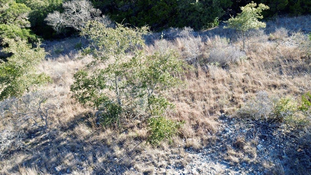 16.76 acres in Bandera County gallery image 2