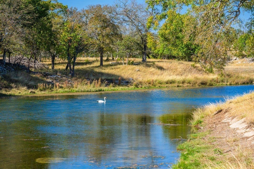 6.3 acres in Gillespie County - photo 19