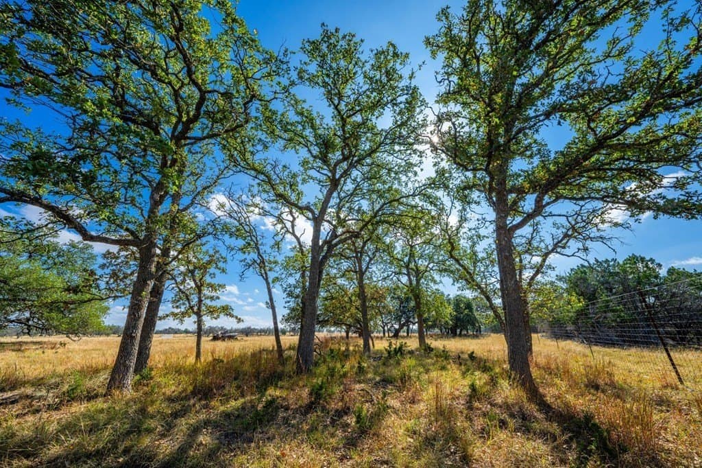 6.3 acres in Gillespie County - photo 10