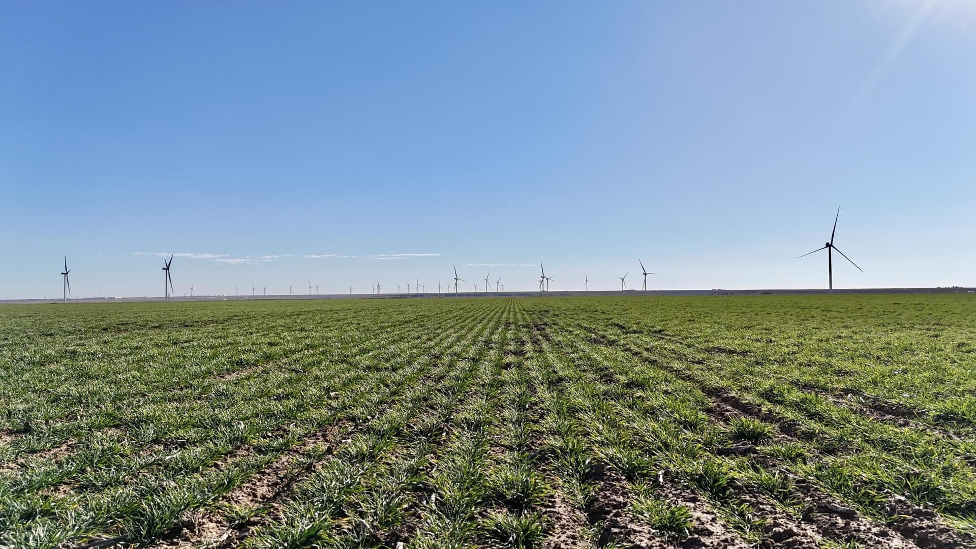 652 acres in Armstrong County - photo 6