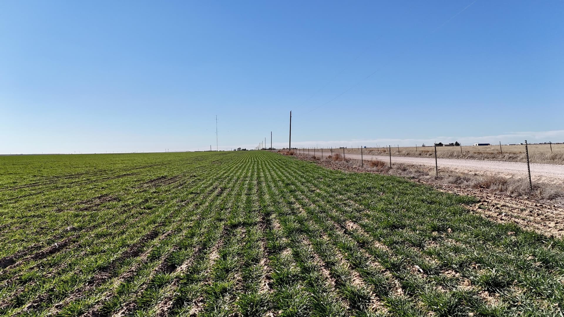 652 acres in Armstrong County - photo 9