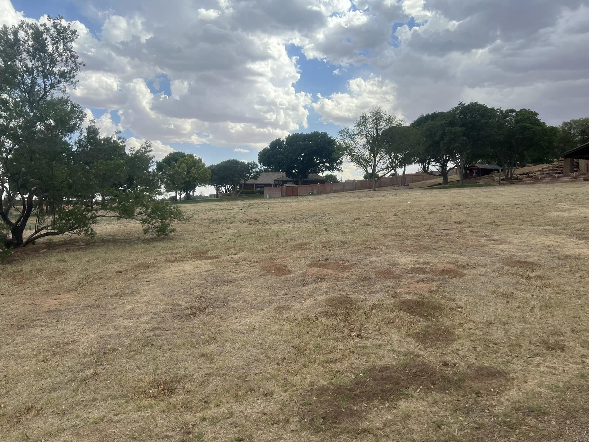 0.8 acres in Lubbock County gallery image 2