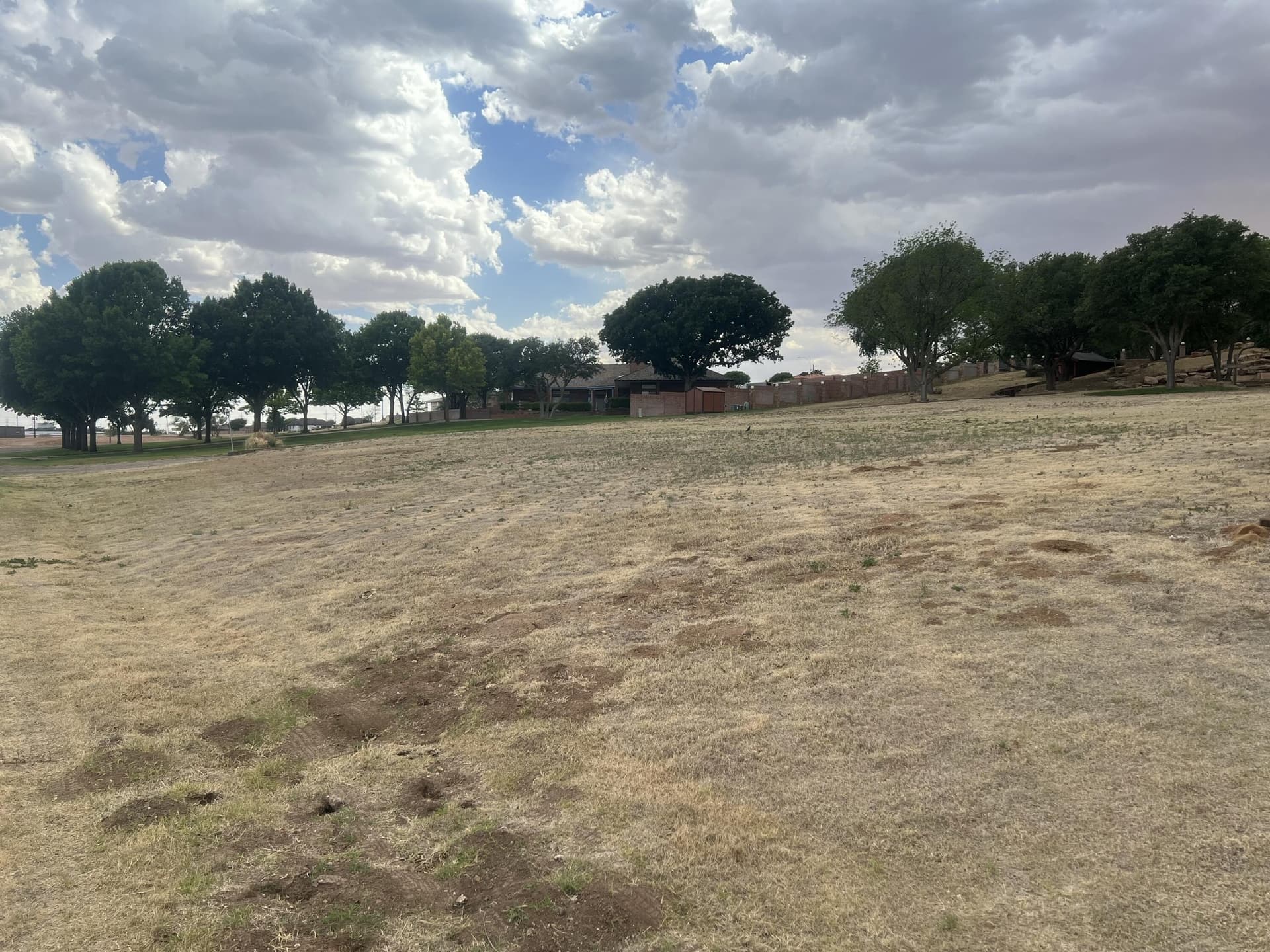 0.8 acres in Lubbock County gallery image 3