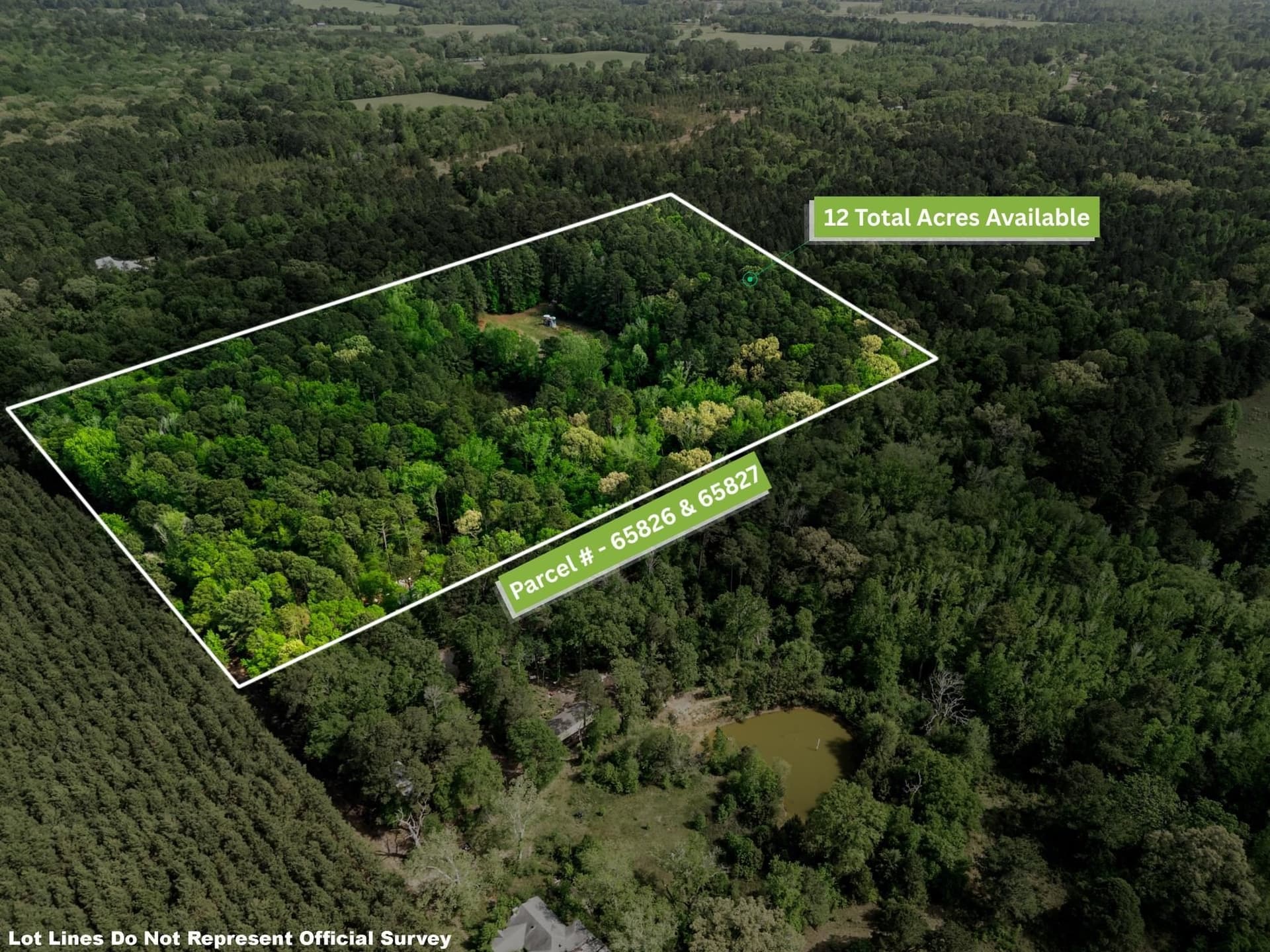 6 acres in Upshur County gallery image 2