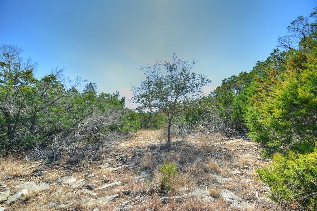 10.9 acres in Kerr County - photo 26
