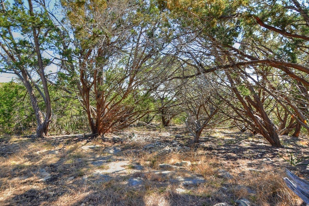 10.9 acres in Kerr County - photo 22