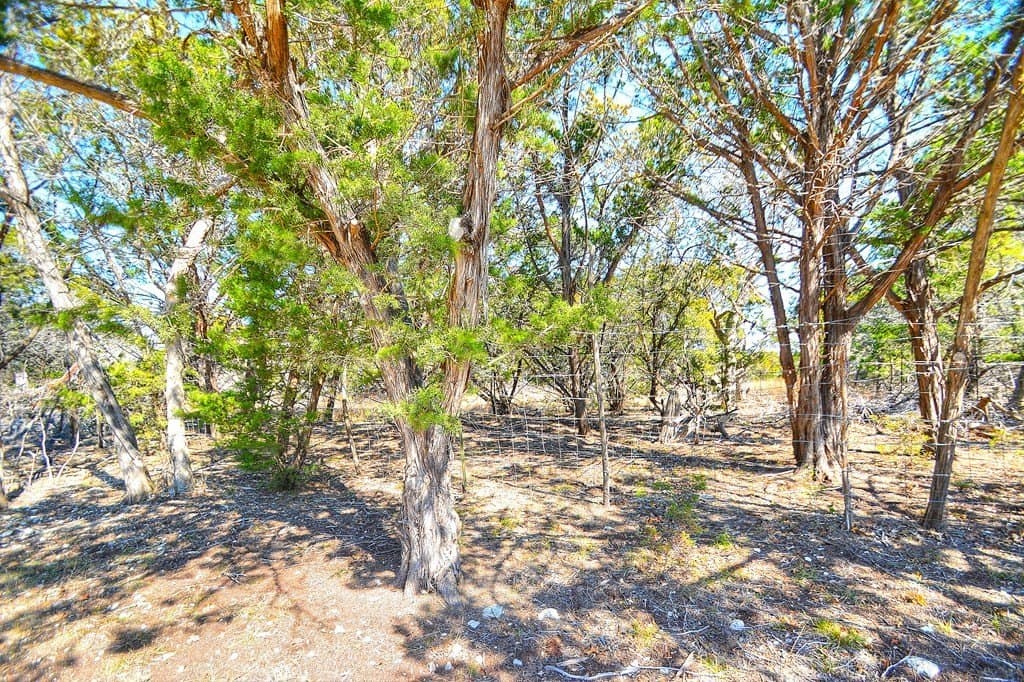 10.9 acres in Kerr County - photo 35