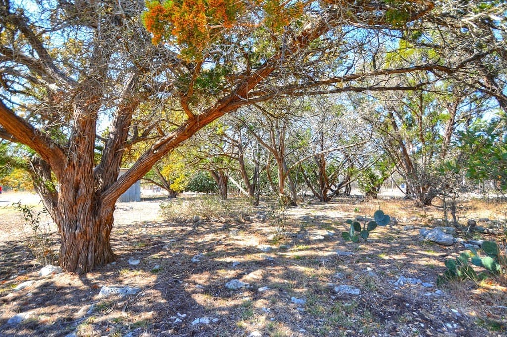 10.9 acres in Kerr County - photo 19