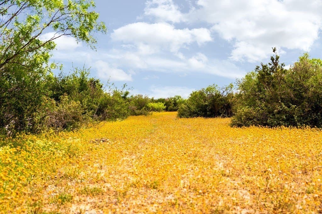 351.67 acres in Menard County - photo 17