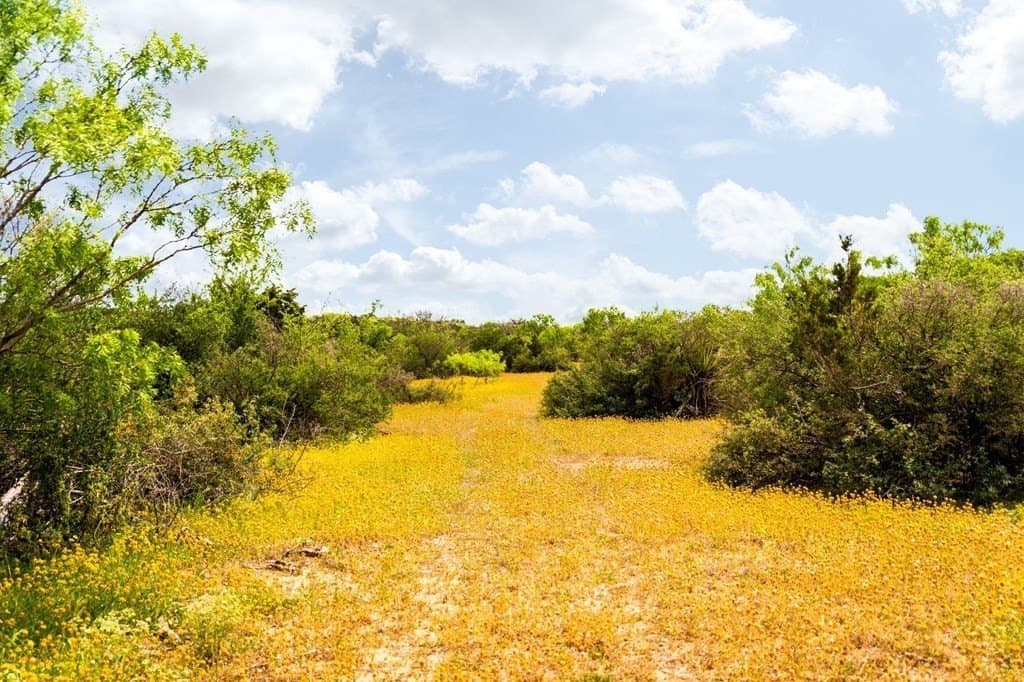 351.67 acres in Menard County - photo 18