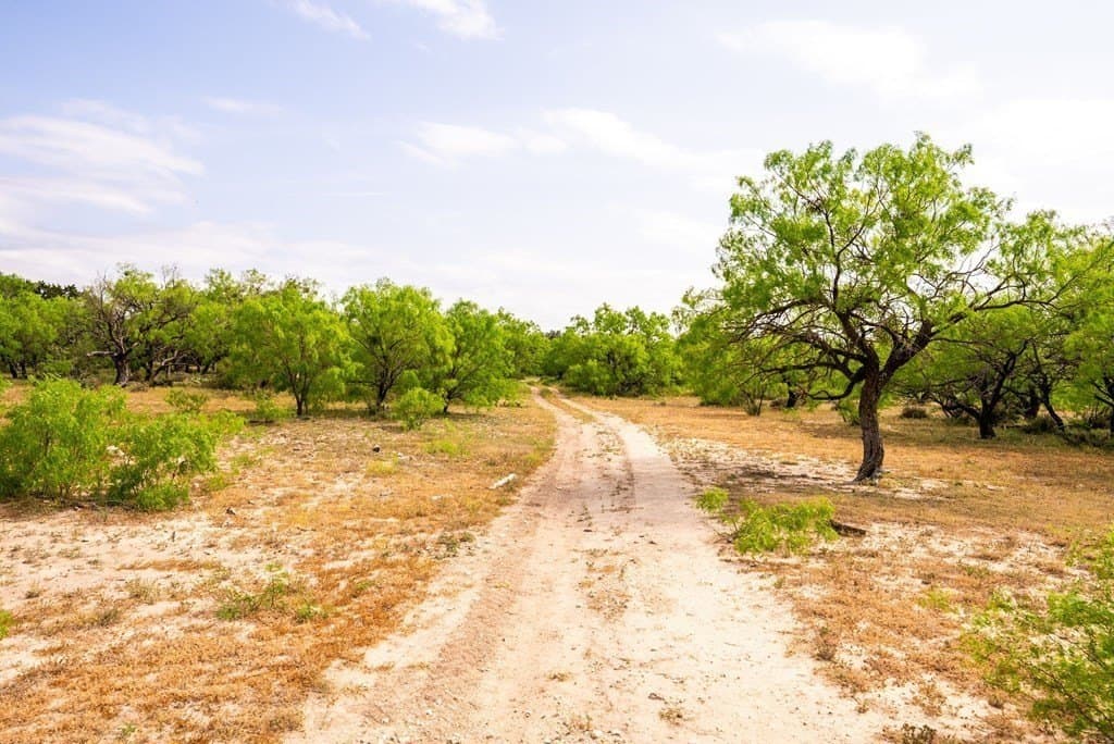 351.67 acres in Menard County - photo 51