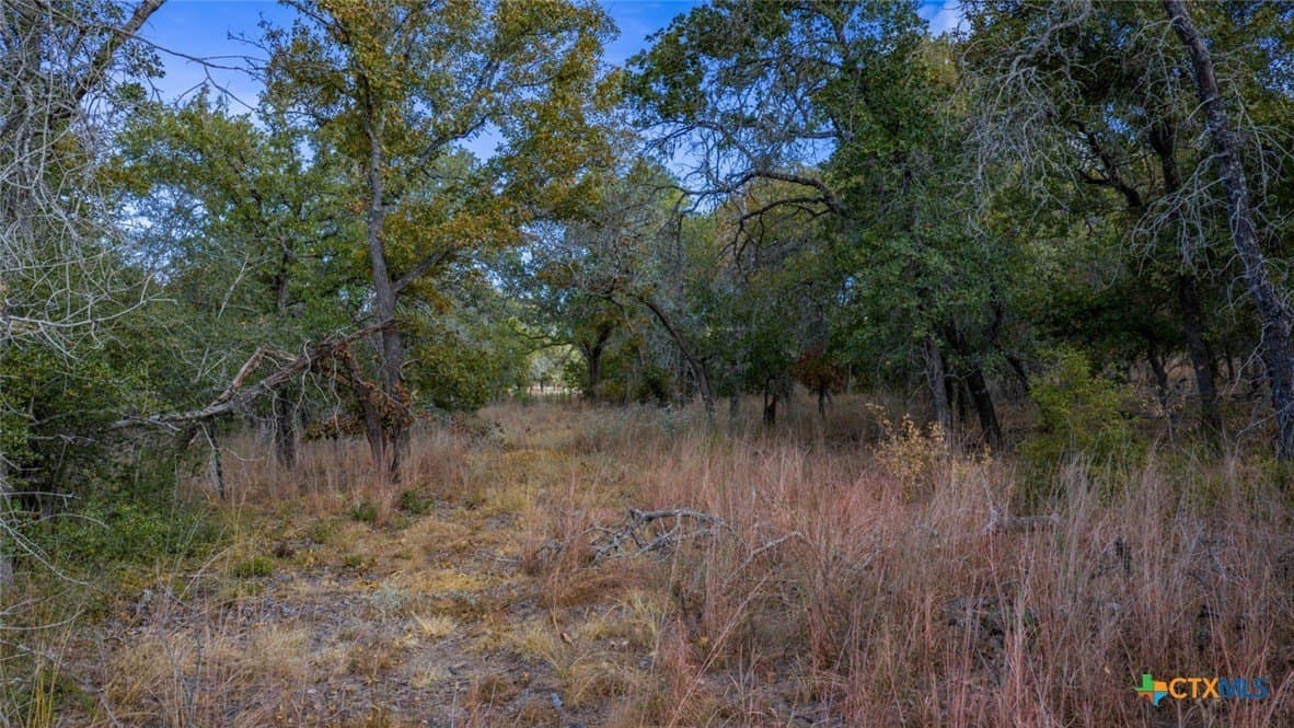 10 acres in Guadalupe County gallery image 4