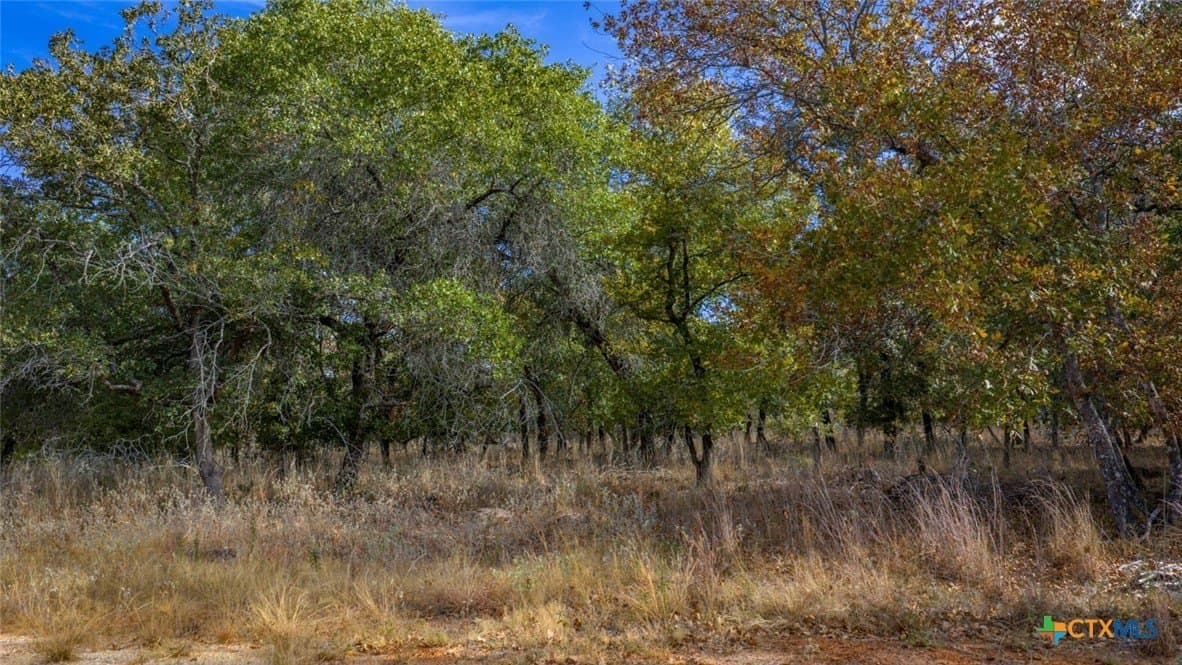 10 acres in Guadalupe County gallery image 3