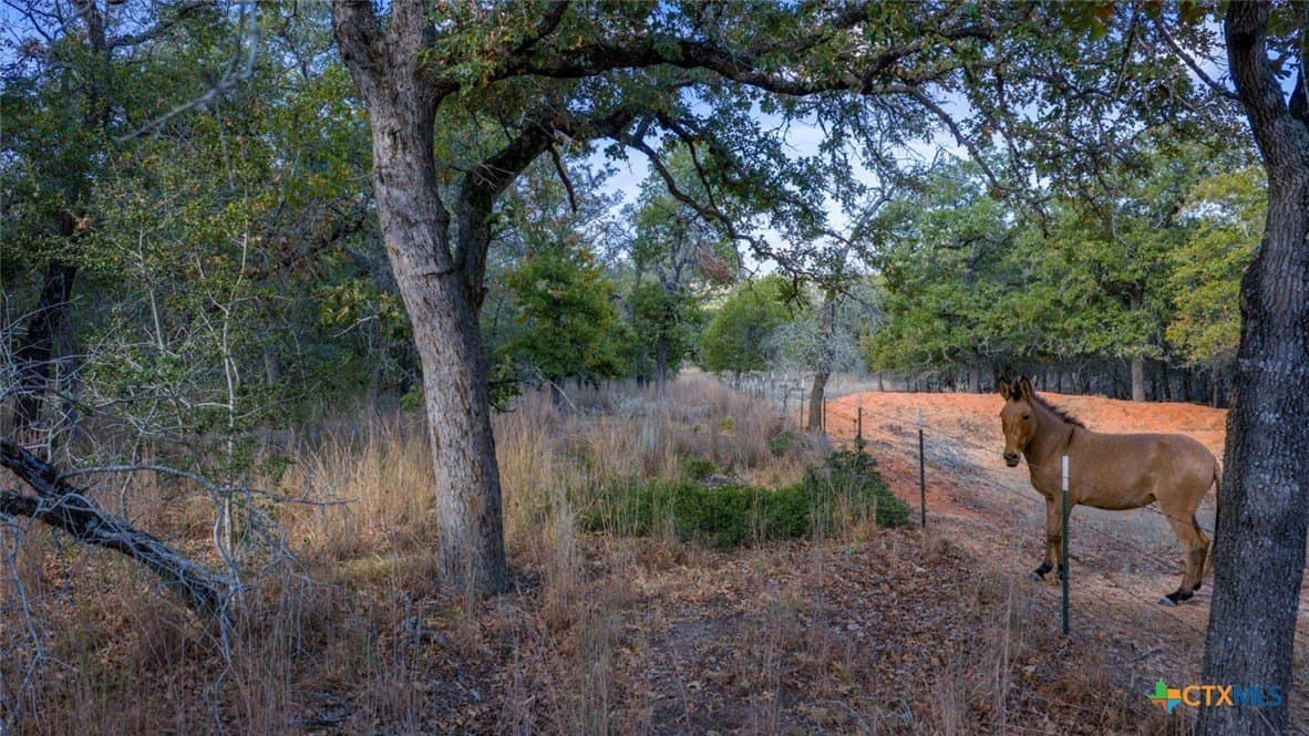 10 acres in Guadalupe County featured view